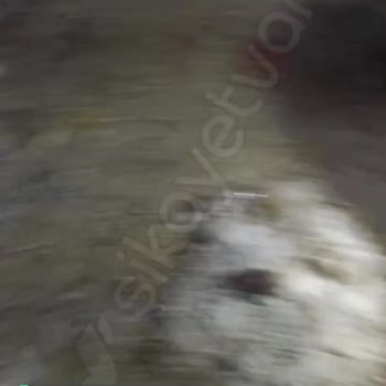 Malatya Büyükşehir Belediyesi Su Çilesi