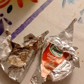 Üçgen Peynirde Küf Sorunu