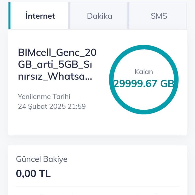 Sınırsız WhatsApp Paketi Neden Çalışmıyor?