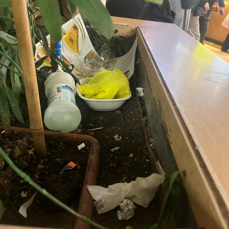 Günaydın Restaurant'ta Hijyen Eksikliği: Yoğunluk Bahane Edilemez!