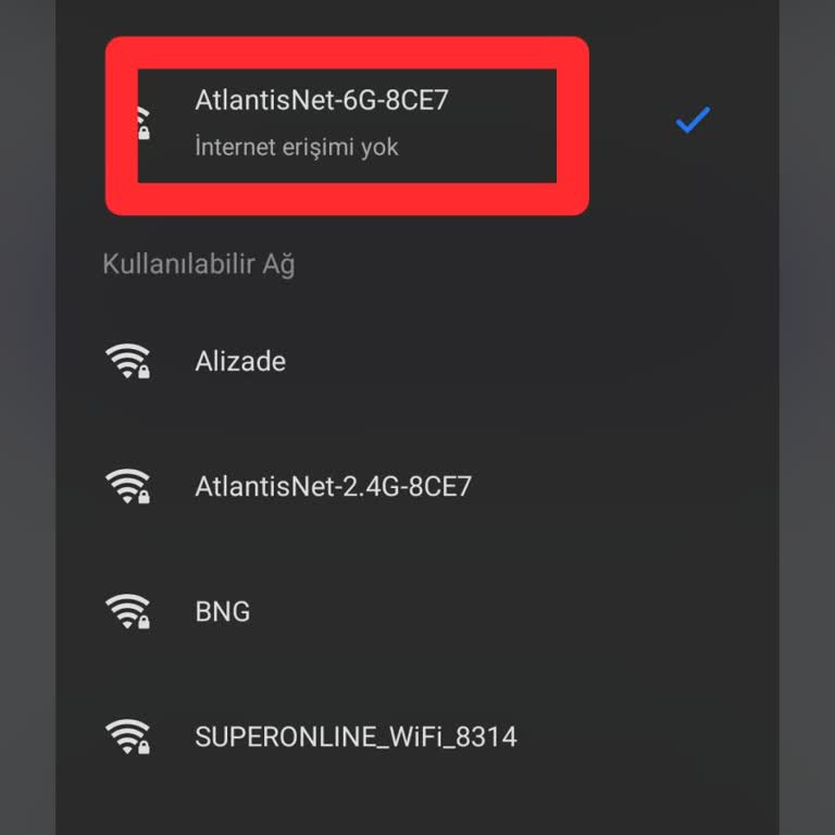 Atlantis İnternet: Kesintisiz Pişmanlık