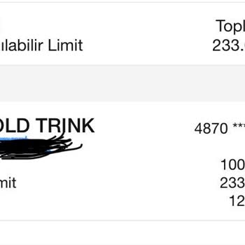 Kapatılan Kredi Kartına Yapılan İade İçin Bekleme Süresi Sorunu