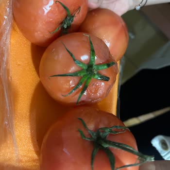 Kusurlu Ürün Satışı Ve Haksız Kazanç