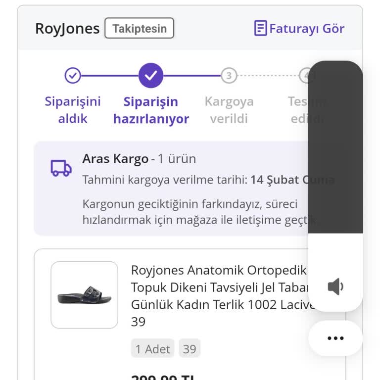 Roy Jones Terliklerinde Hayal Kırıklığı