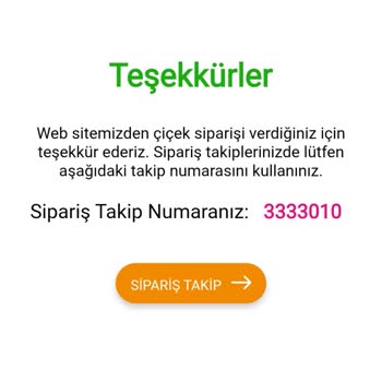 Teslim Edilmeyen Siparişler Ve İade Talebi