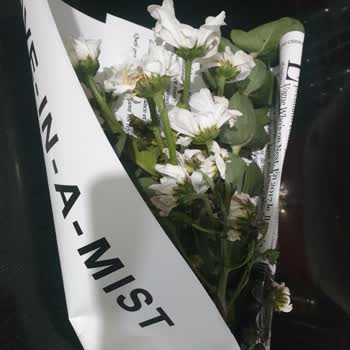 Sevgililer Günü Çiçeği Hayal Kırıklığı