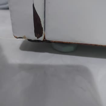 Bosch Çamaşır Makinesi Paslanma Sorunu