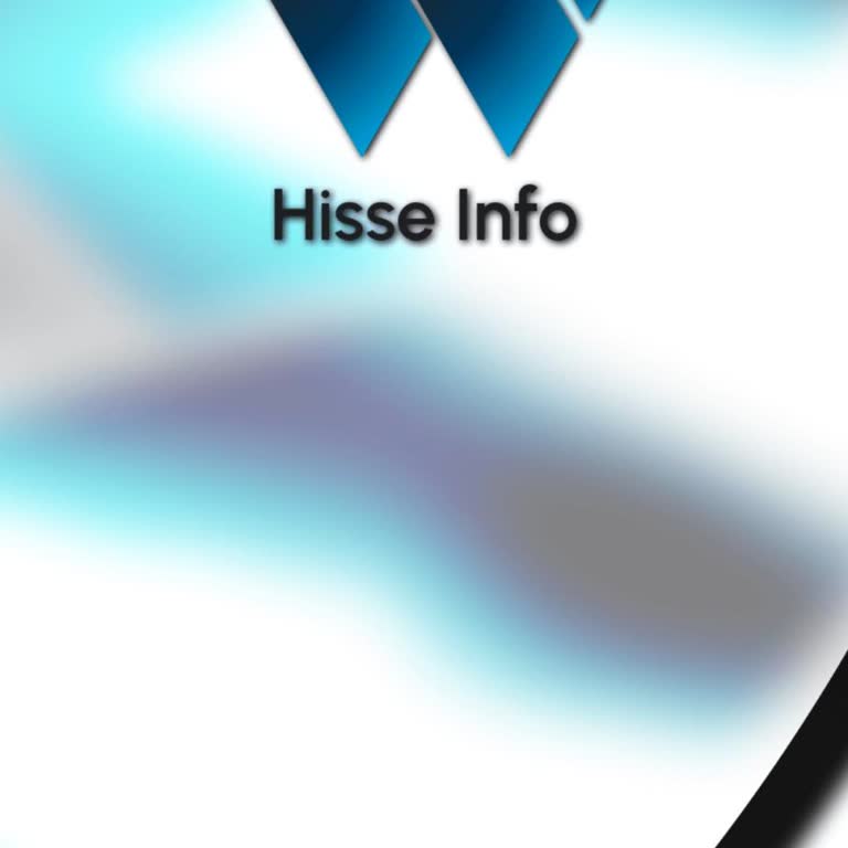 Hisse Info Yatırım'ın Gerçek Yüzü: Paranızı Korumak İçin Okuyun