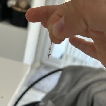 Çikolatanın İçinden Çıkan Şeffaf Madde Şaşkınlığı