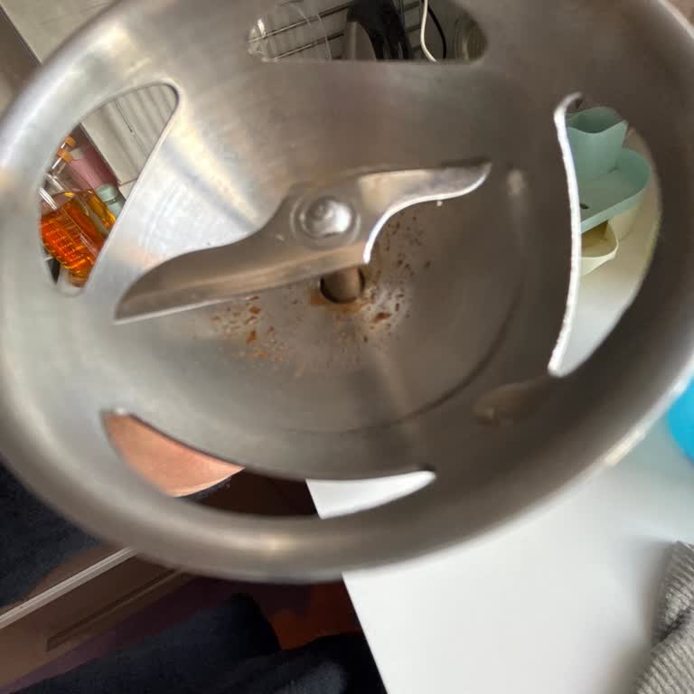 Sinbo Blender: Paslı Su Ve Bozuk Bıçak Sorunu