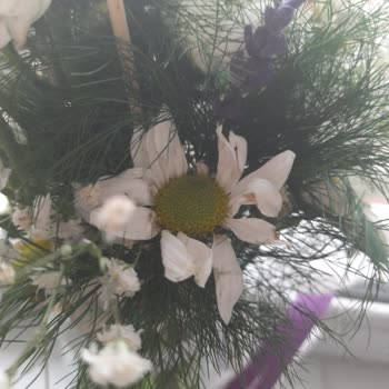 Solmuş Çiçekler Ve Ulaşılmaz Müşteri Hizmetleri