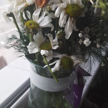 Solmuş Çiçekler Ve Ulaşılmaz Müşteri Hizmetleri