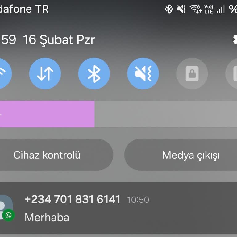Yabancı Numara Üzerinden Gelen Mesajla İlgili Güvenlik Endişesi