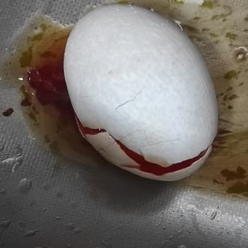 Son Kullanma Tarihi Geçmemiş Yumurtalarda Kan Sorunu