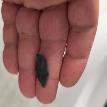 Bosch Çamaşır Makinesi Körük Lastiği Sorunu: Kullanıcı Hatası Mı, İmalat Hatası Mı?