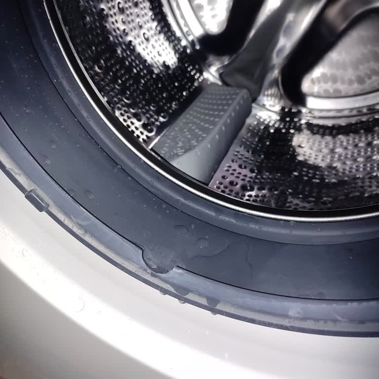 Profilo Çamaşır Makinesi Sorunu: Körük Lastiği Yırtıldı
