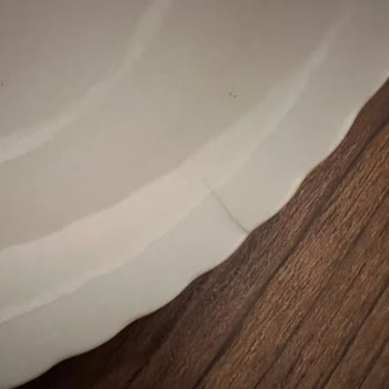 Kusurlu Ürün Ve Ulaşılamayan Müşteri Hizmetleri