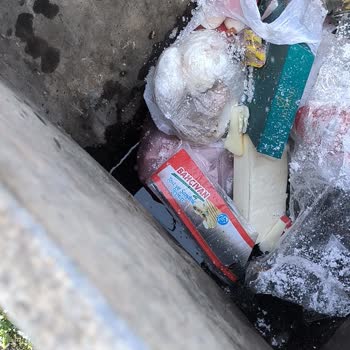 A101 Bozuk Peynir ve Fiş Sorunu