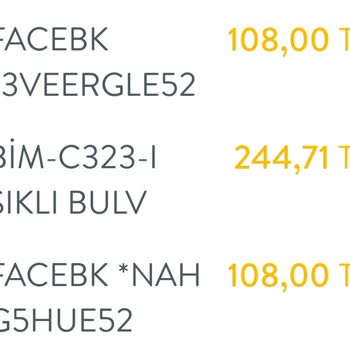 Yanlışlıkla Fazladan Ödeme Yapılan IP Kamera İçin Çözüm Talebi