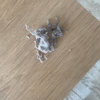 Divanev'den Alınan Mobilyalarda Aşırı Tüylenme Sorunu