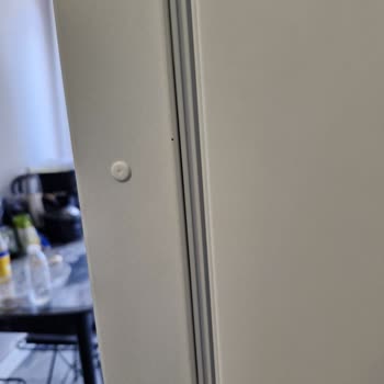 Yeni Buzdolabındaki Boya Sorunu Ve İlgisiz Servis