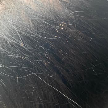 Severek Kullandığım Fanset Saç Şekillendirici Saçımı Yaktı