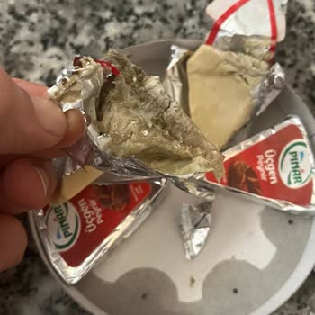 Çocuğuma Aldığım Üçgen Peynir Bozuk Çıktı!
