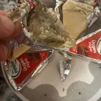 Çocuğuma Aldığım Üçgen Peynir Bozuk Çıktı!