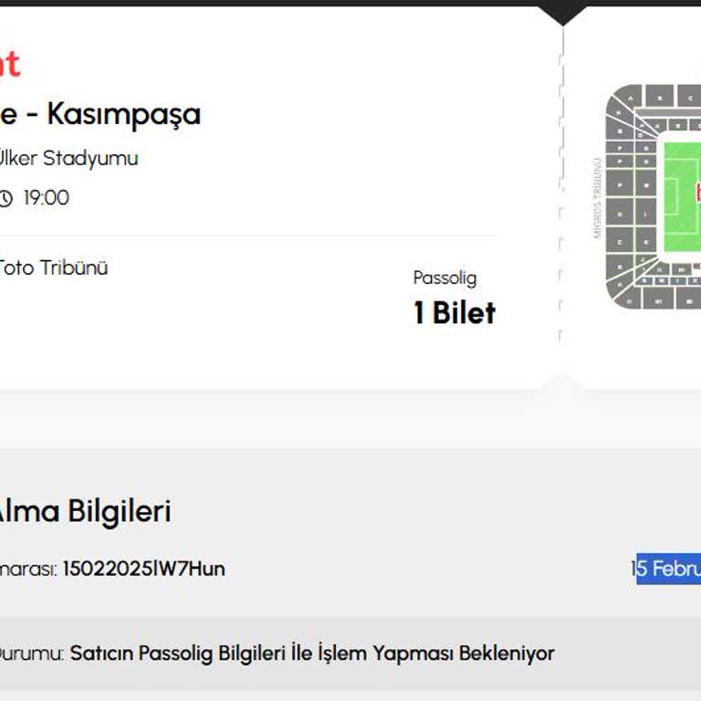 Bilet Tanımlama Sorunu