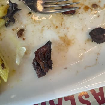 Tavuk Dünyası'nda Gıda Zehirlenmesi Tehlikesi