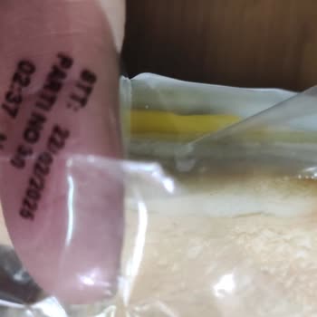 Küflü Peynirli Sandviç Ve Yetersiz Müşteri Hizmeti