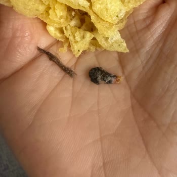 Lays Cipslerinde Plastik Yanığına Benzeyen Sorun