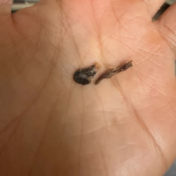 Lays Cipslerinde Plastik Yanığına Benzeyen Sorun