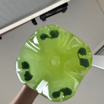 Schweppes Gazlı İçecekte Küf Benzeri Tortu Şikayeti