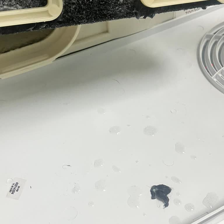 Hoover Kurutma Makinesi Nem Sorunu
