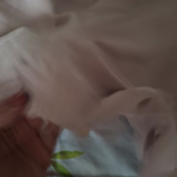 Pamuklu Eşofman Altlarında Kalite Sorunu Ve Fiş Zorluğu