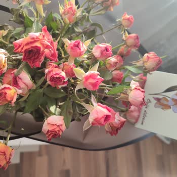 Solmuş Çiçekler: Doğum Günü Hayal Kırıklığı