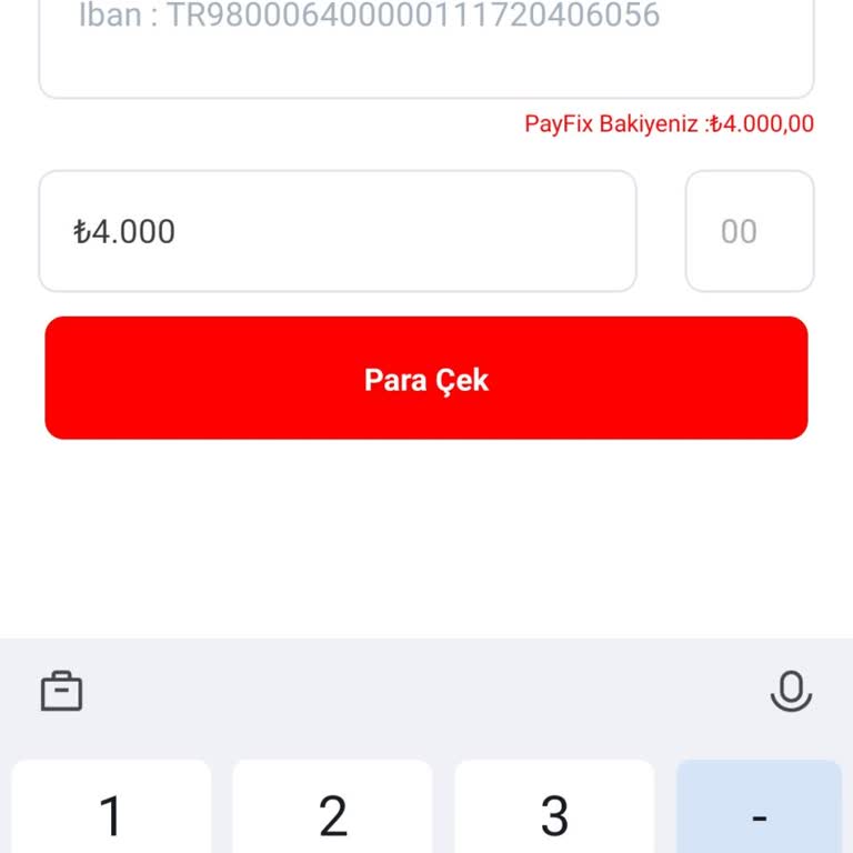 Payfix'ten İş Bankası'na Para Transferi Sorunu