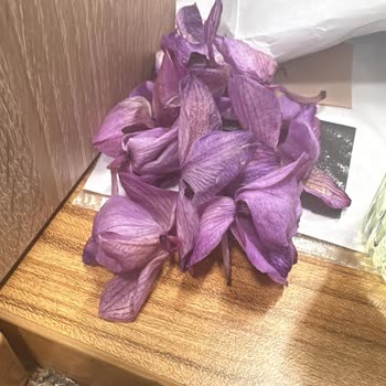 Özel Günlerde Hayal Kırıklığı: Taze Çiçek İle Sorunlar