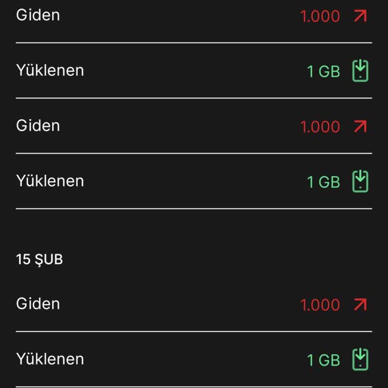 Sürekli Tekrarlanan İnternet Sorunu Ve Yetersiz GB