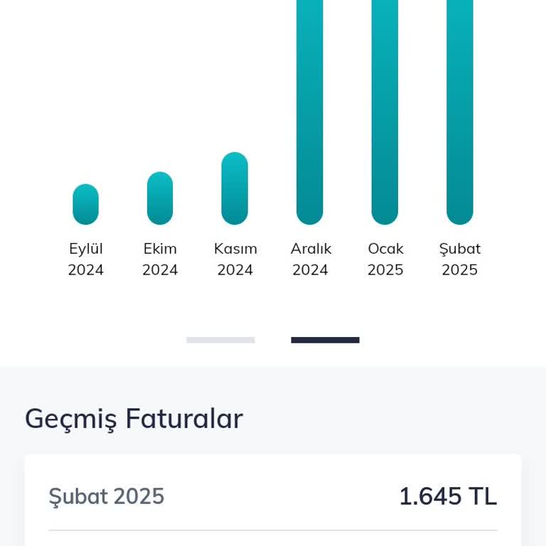 Çift Çekim Mağduriyeti: Telefon Faturası Ödemesi
