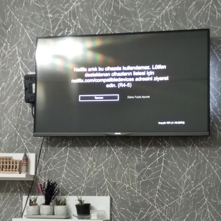 Philips TV'de Netflix Desteği Sorunu: Mağduriyetimin Giderilmesini İstiyorum