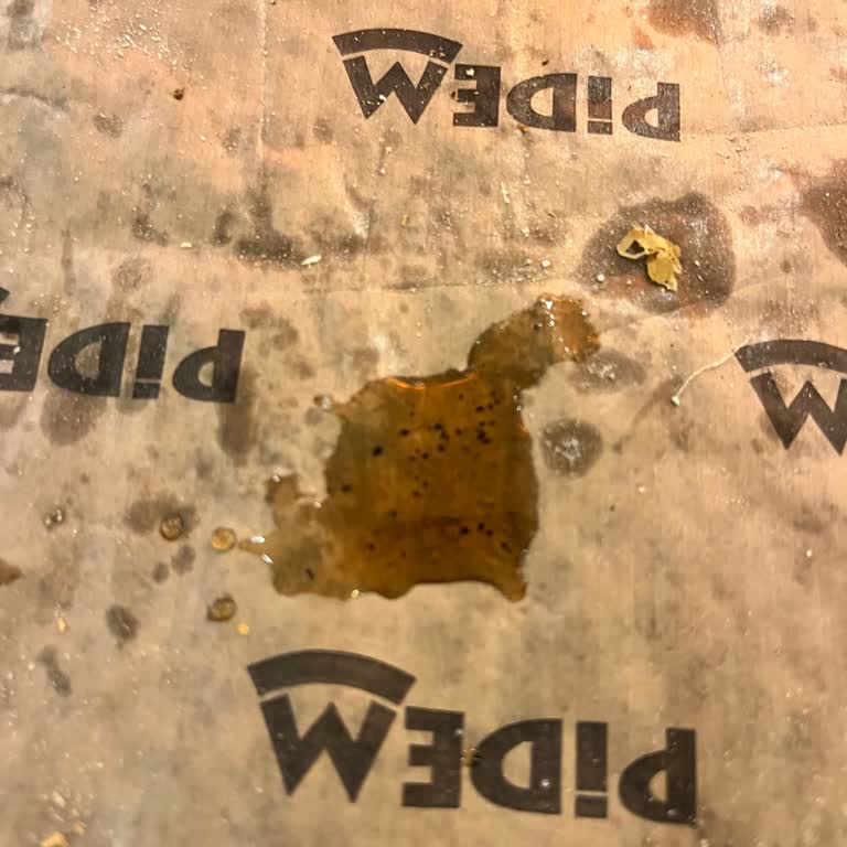 Kolanın İçindeki Gizemli Siyah Parçalar