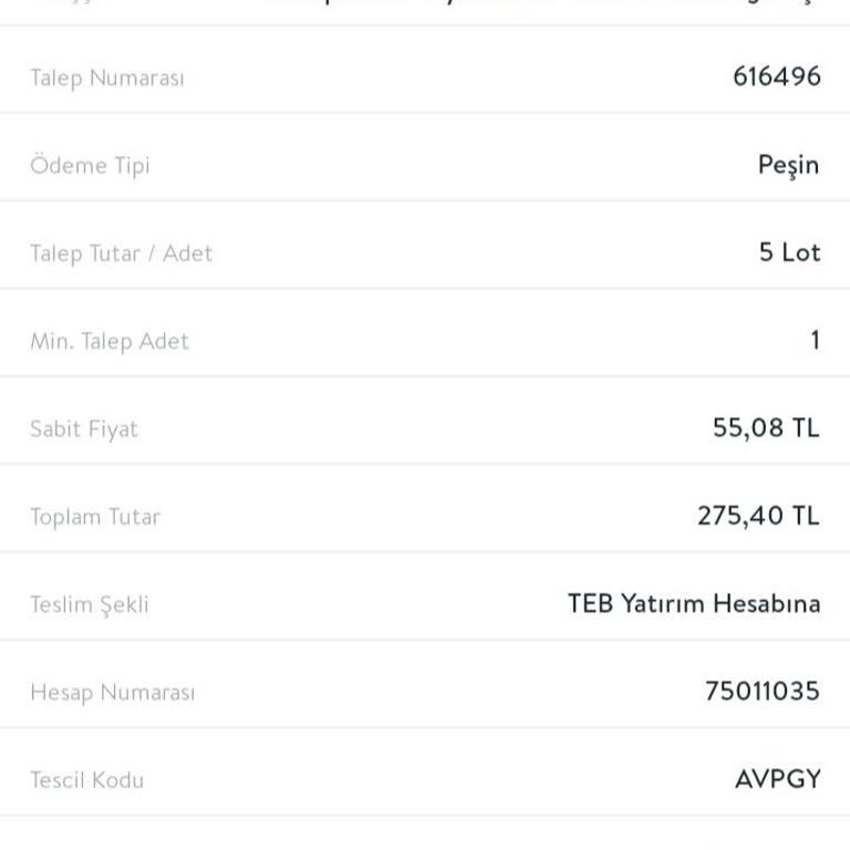 Yatırım Hesabında Görünmeyen Hisse Senetleri Sorunu