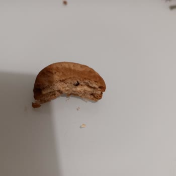 Bisküvi Paketinden Çıkan Bilinmeyen Cisim