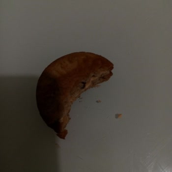 Bisküvi Paketinden Çıkan Bilinmeyen Cisim