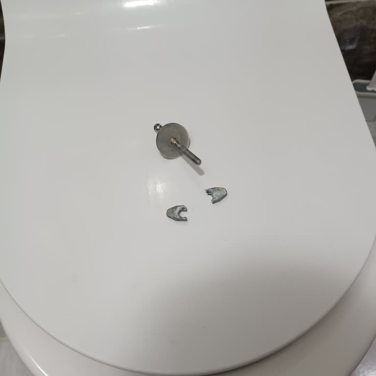 Klozet Kapağı Menteşesi Sorunu Ve Yedek Parça Bulunamaması