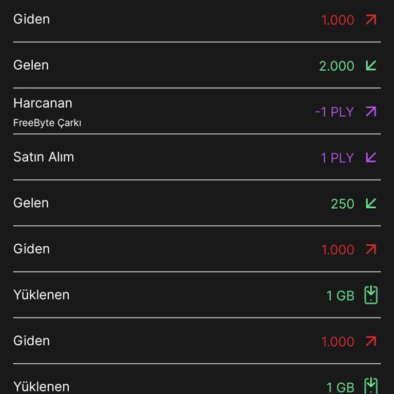 GB Dönüşüm Sorunu: İnternet Yüklenmiyor