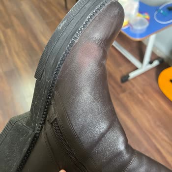 Derinet Aldığım Bot İlk Haftadan Deforme Oldu