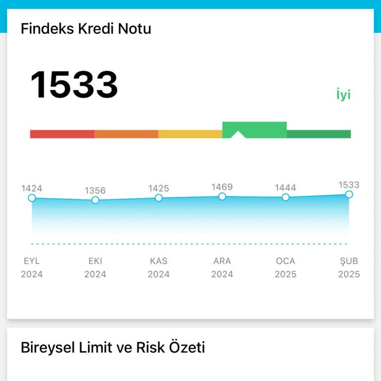 Avis Yüksek Kredi Puanına Rağmen Araç Kiralama Engeli